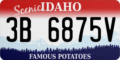 ID license plate 3B6875V