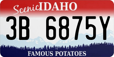 ID license plate 3B6875Y