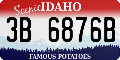 ID license plate 3B6876B