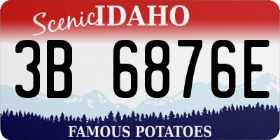 ID license plate 3B6876E