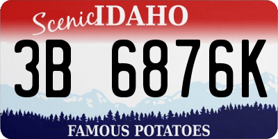 ID license plate 3B6876K