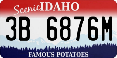 ID license plate 3B6876M