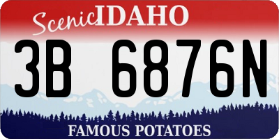 ID license plate 3B6876N