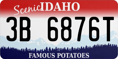 ID license plate 3B6876T