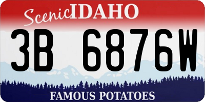 ID license plate 3B6876W