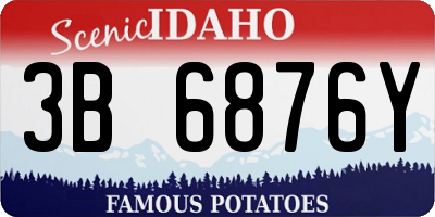 ID license plate 3B6876Y