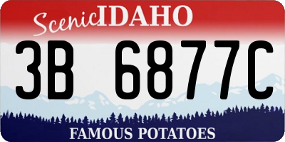 ID license plate 3B6877C