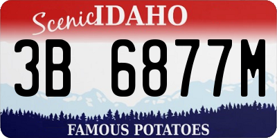 ID license plate 3B6877M