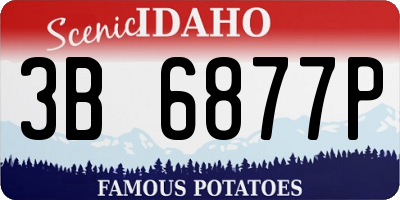 ID license plate 3B6877P