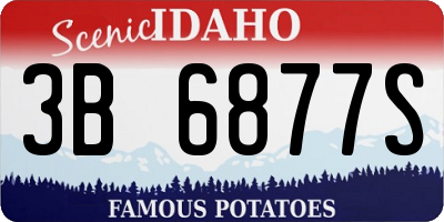 ID license plate 3B6877S