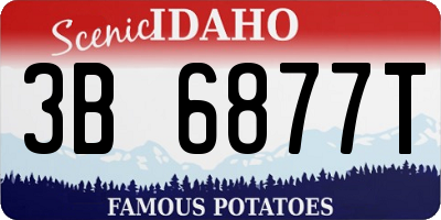 ID license plate 3B6877T