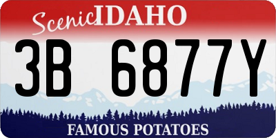 ID license plate 3B6877Y