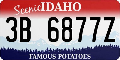 ID license plate 3B6877Z