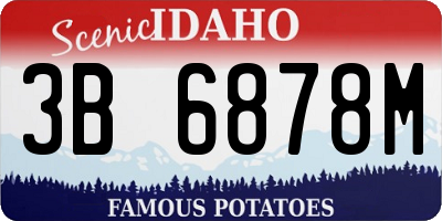 ID license plate 3B6878M