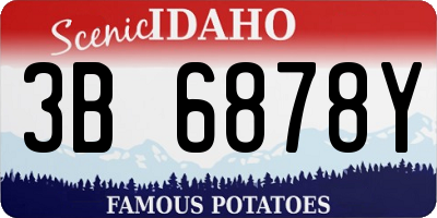 ID license plate 3B6878Y