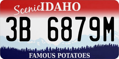 ID license plate 3B6879M