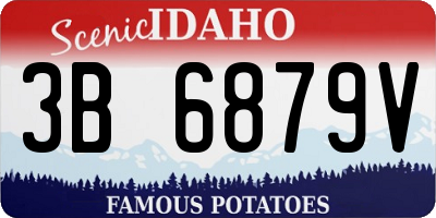 ID license plate 3B6879V