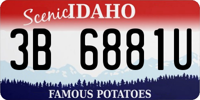 ID license plate 3B6881U