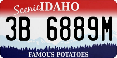 ID license plate 3B6889M