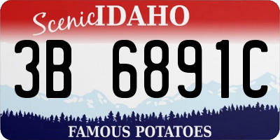 ID license plate 3B6891C