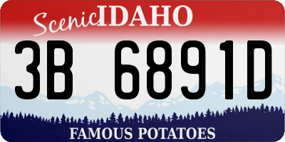 ID license plate 3B6891D