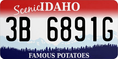 ID license plate 3B6891G