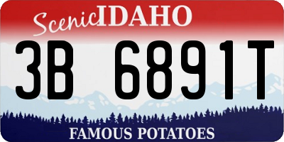 ID license plate 3B6891T