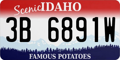 ID license plate 3B6891W
