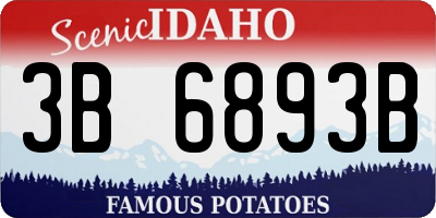 ID license plate 3B6893B