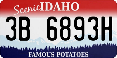 ID license plate 3B6893H