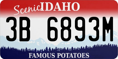ID license plate 3B6893M