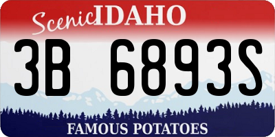 ID license plate 3B6893S