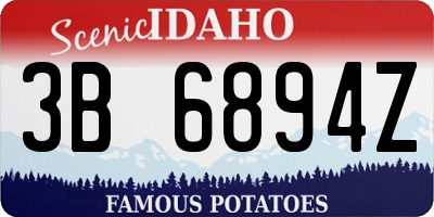 ID license plate 3B6894Z