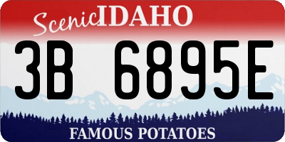 ID license plate 3B6895E