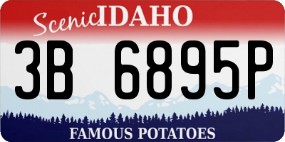 ID license plate 3B6895P