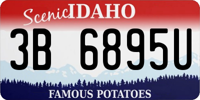 ID license plate 3B6895U