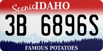 ID license plate 3B6896S