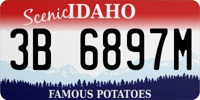 ID license plate 3B6897M