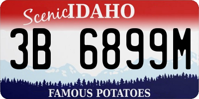 ID license plate 3B6899M