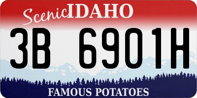 ID license plate 3B6901H