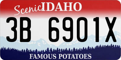 ID license plate 3B6901X