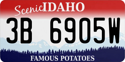 ID license plate 3B6905W