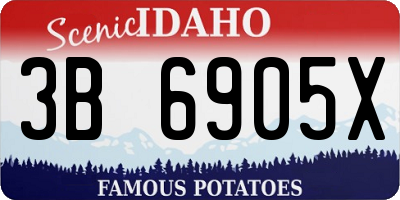 ID license plate 3B6905X