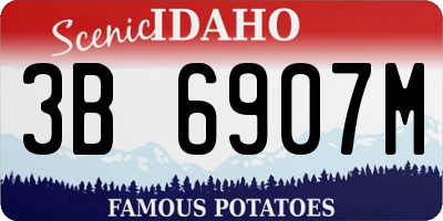 ID license plate 3B6907M