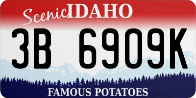 ID license plate 3B6909K