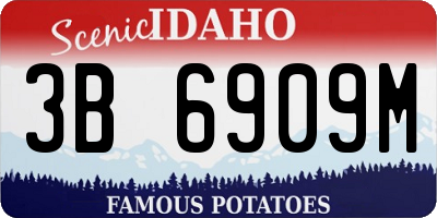 ID license plate 3B6909M