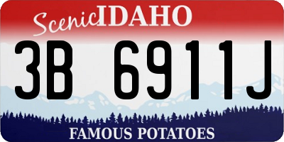 ID license plate 3B6911J