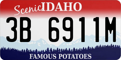 ID license plate 3B6911M