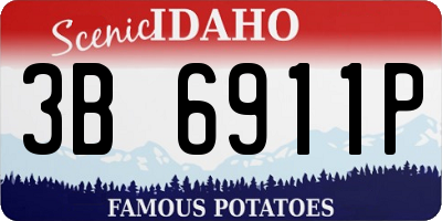ID license plate 3B6911P