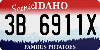 ID license plate 3B6911X
